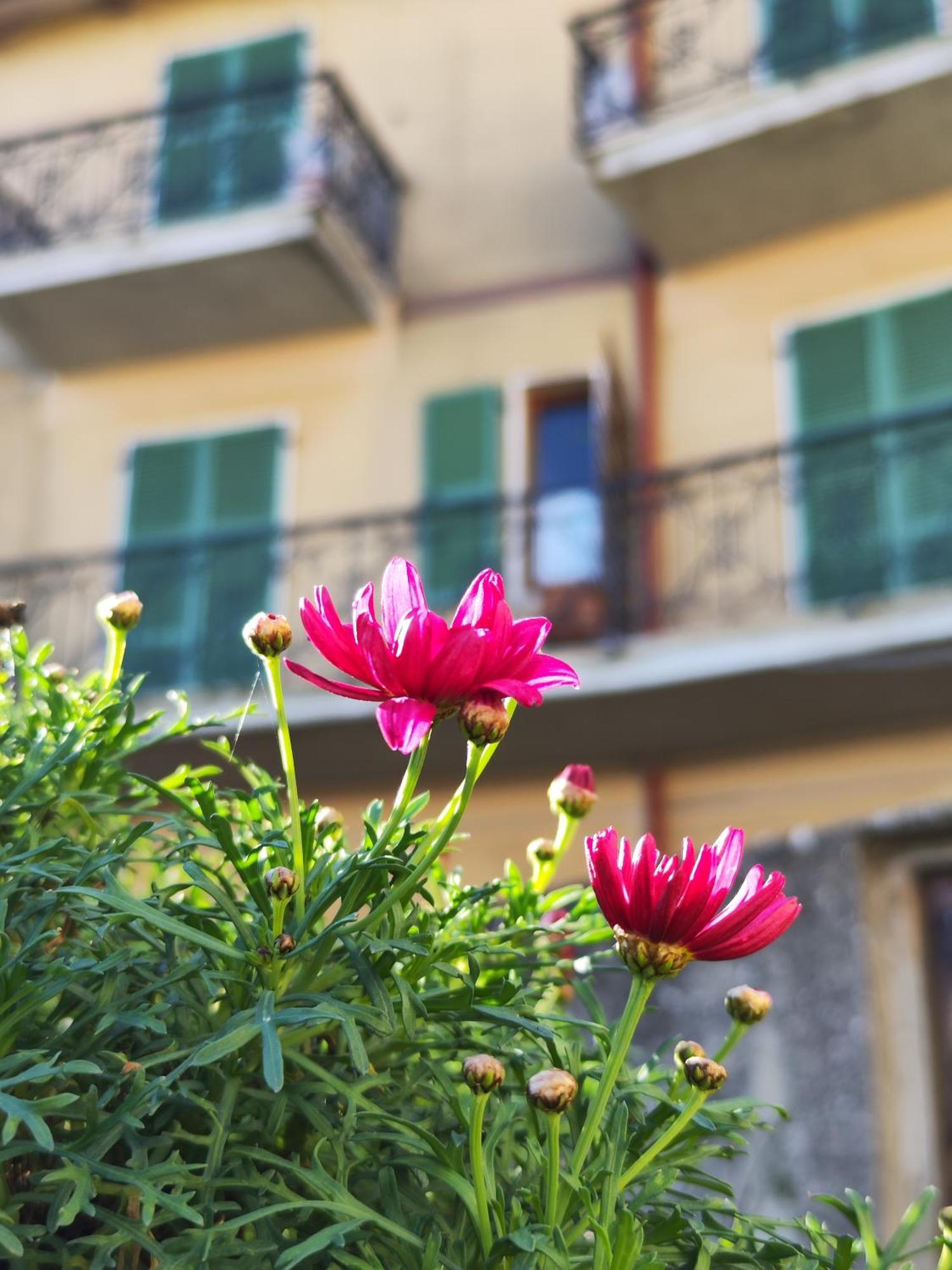 Casa Agello B&B Ripatransone Zewnętrze zdjęcie